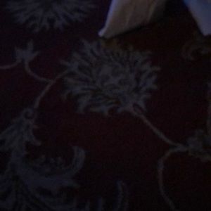 Meet your Posher, Jade